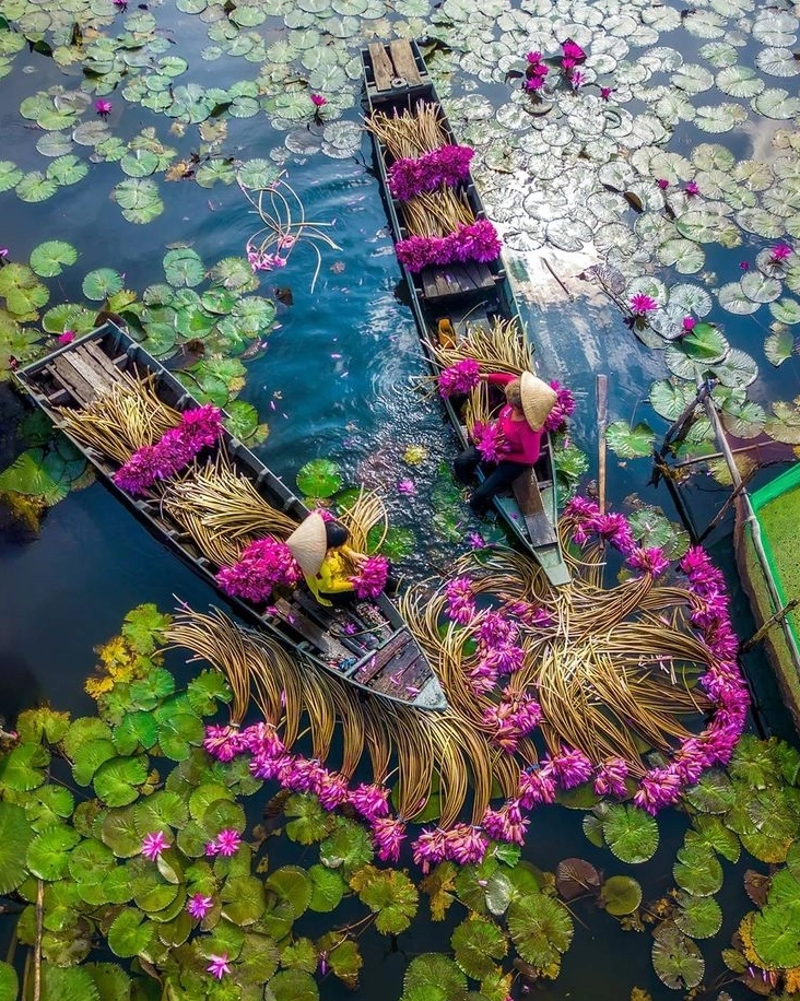Ảnh quê hương em lưu giữ kỷ niệm êm đềm sâu lắng