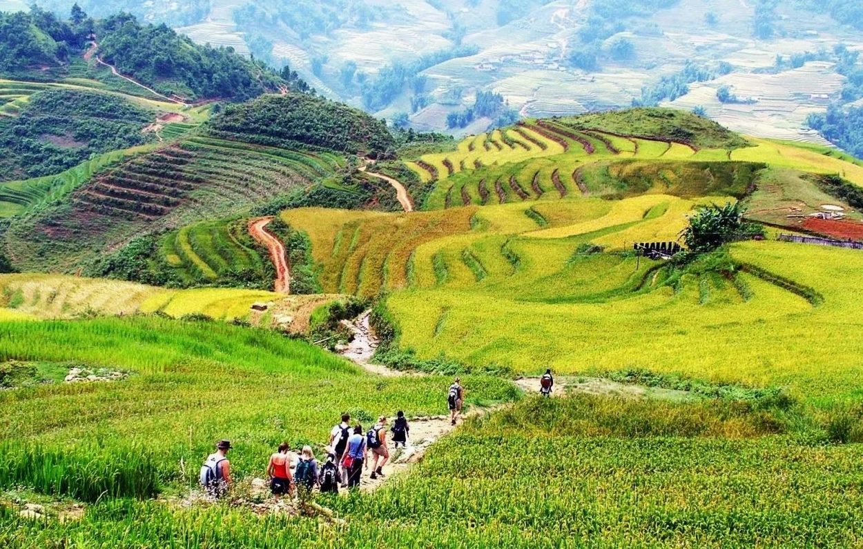 Bản Lao Chải với những ngôi nhà và ruộng bậc thang hài hòa