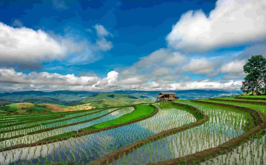 Cảnh đẹp thiên nhiên Việt Nam hùng vĩ