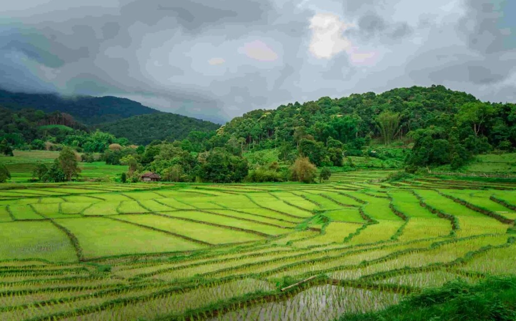 Đồi cát Mũi Né, Phan Thiết - Cảnh đẹp thiên nhiên độc đáo