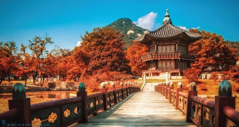 Du Lịch Hàn Quốc 2026: Khám Phá Xứ Sở Kim Chi Đầy Mê Hoặc