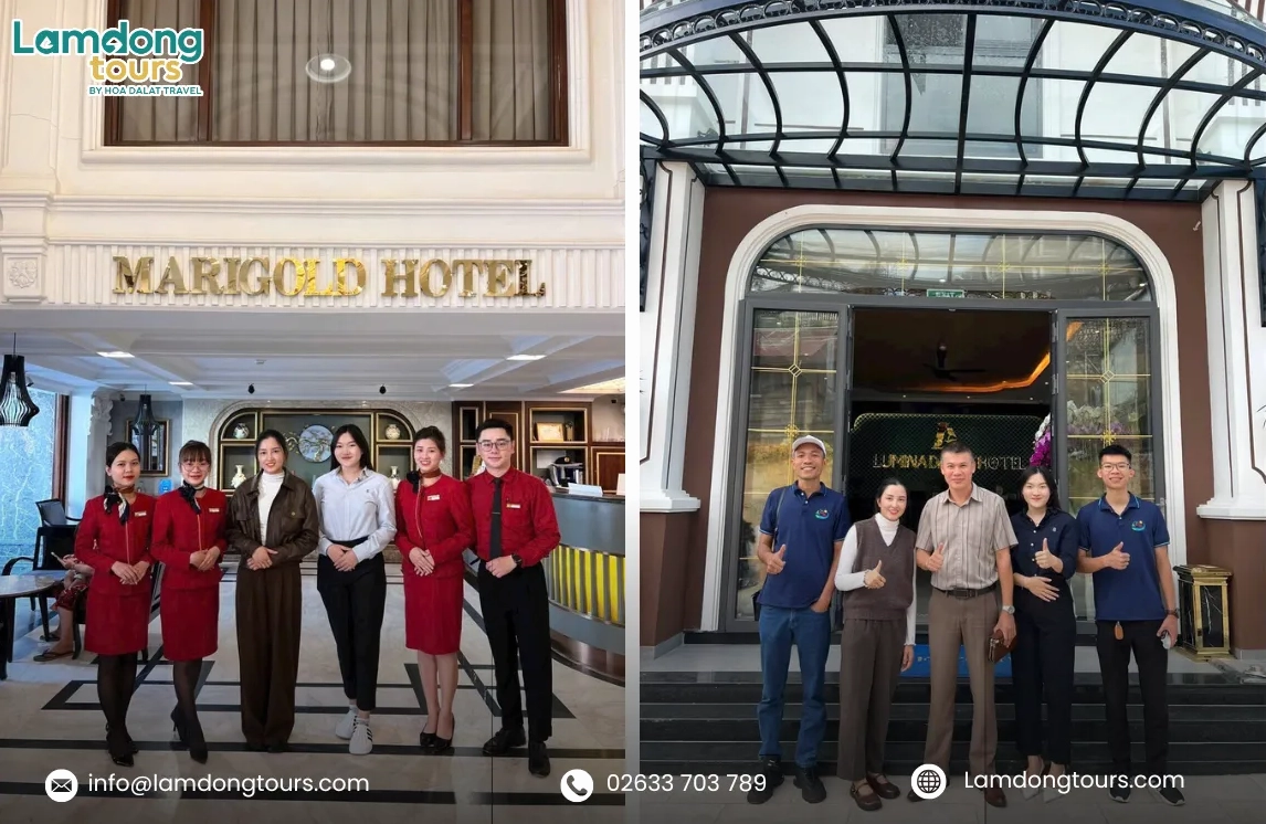 Khảo sát thực tế Marigold Hotel và Lumina Hotel Đà Lạt