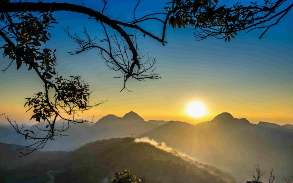 Rừng ngập mặn Cà Mau - Cảnh đẹp thiên nhiên hoang sơ