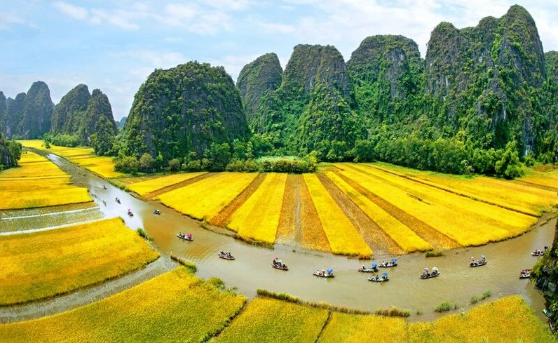 Ruộng bậc thang Sapa mùa lúa chín