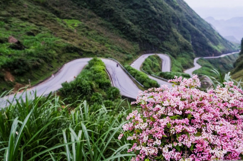 Vẻ đẹp hùng vĩ của Đèo Mã Pí Lèng trong chuyến du lịch Hà Giang