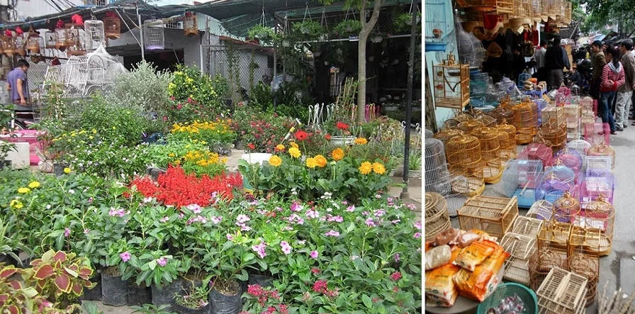 Bãi biển Đồ Sơn thơ mộng, Hải Phòng