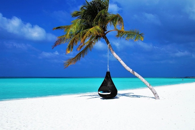 Bãi biển Maldives với cây cọ và làn nước trong xanh