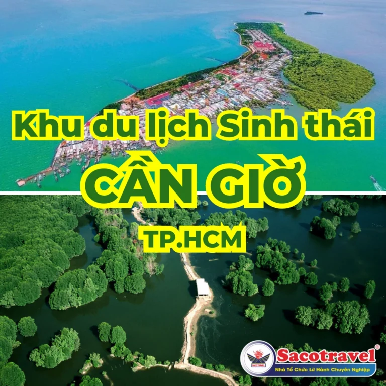 Cần Giờ Có Gì Chơi? Khám Phá Thiên Đường Xanh Mát Lạ Lùng
