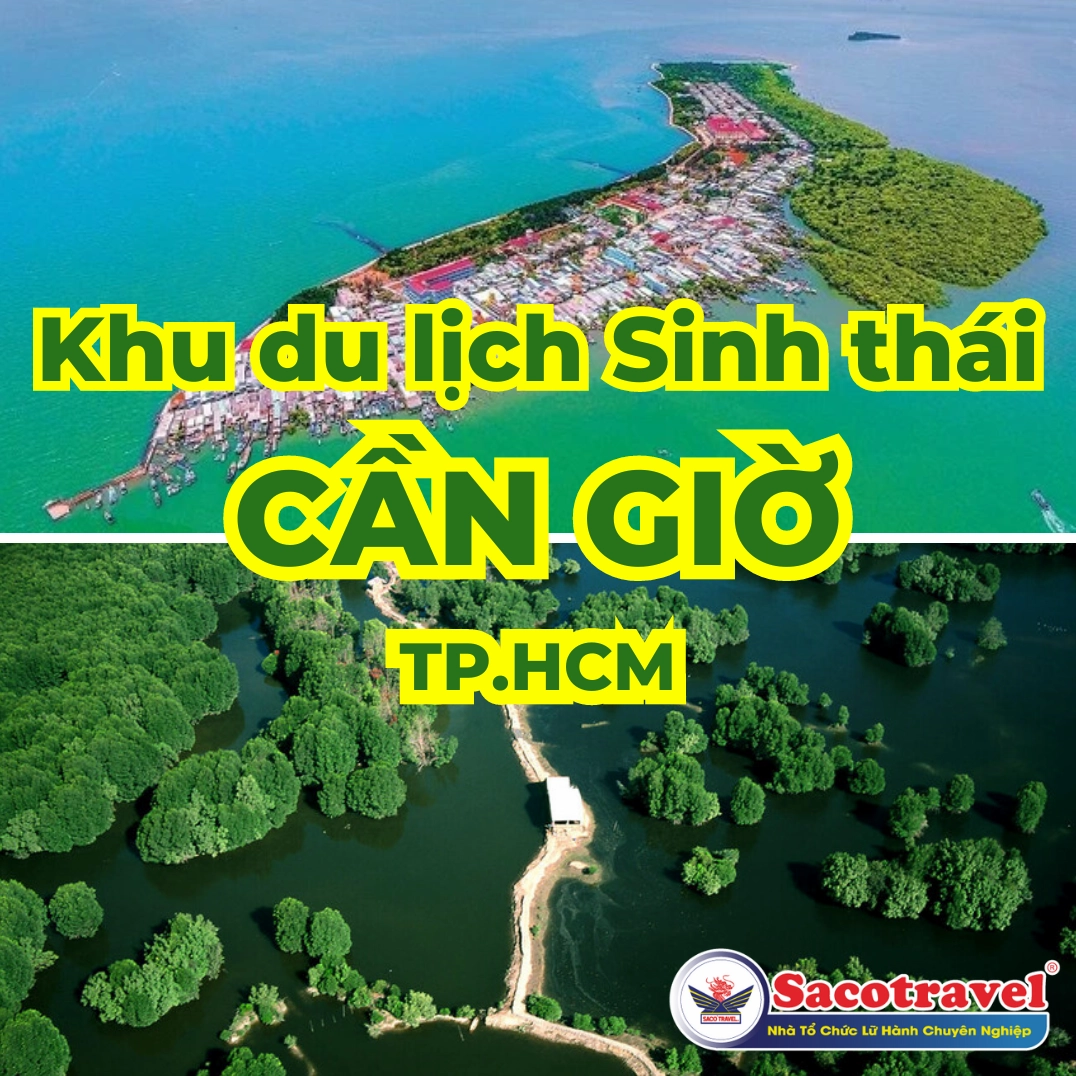 Cần Giờ Có Gì Chơi? Khám Phá Thiên Đường Xanh Mát Lạ Lùng
