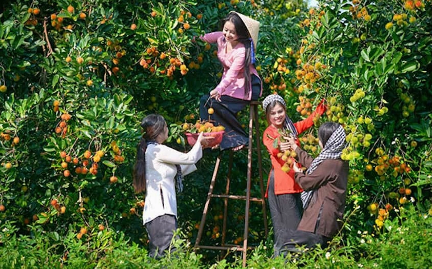 Cần Thơ về đêm