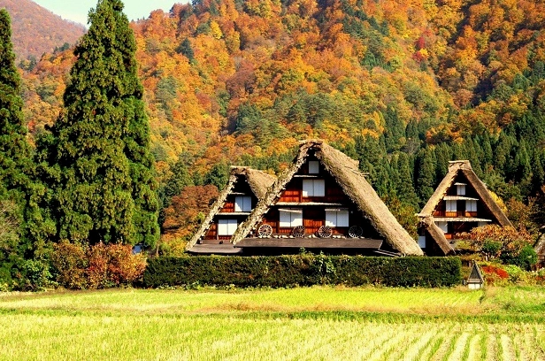Cảnh đẹp Nhật Bản - Làng lịch sử Shirakawa-Go và Gokayama
