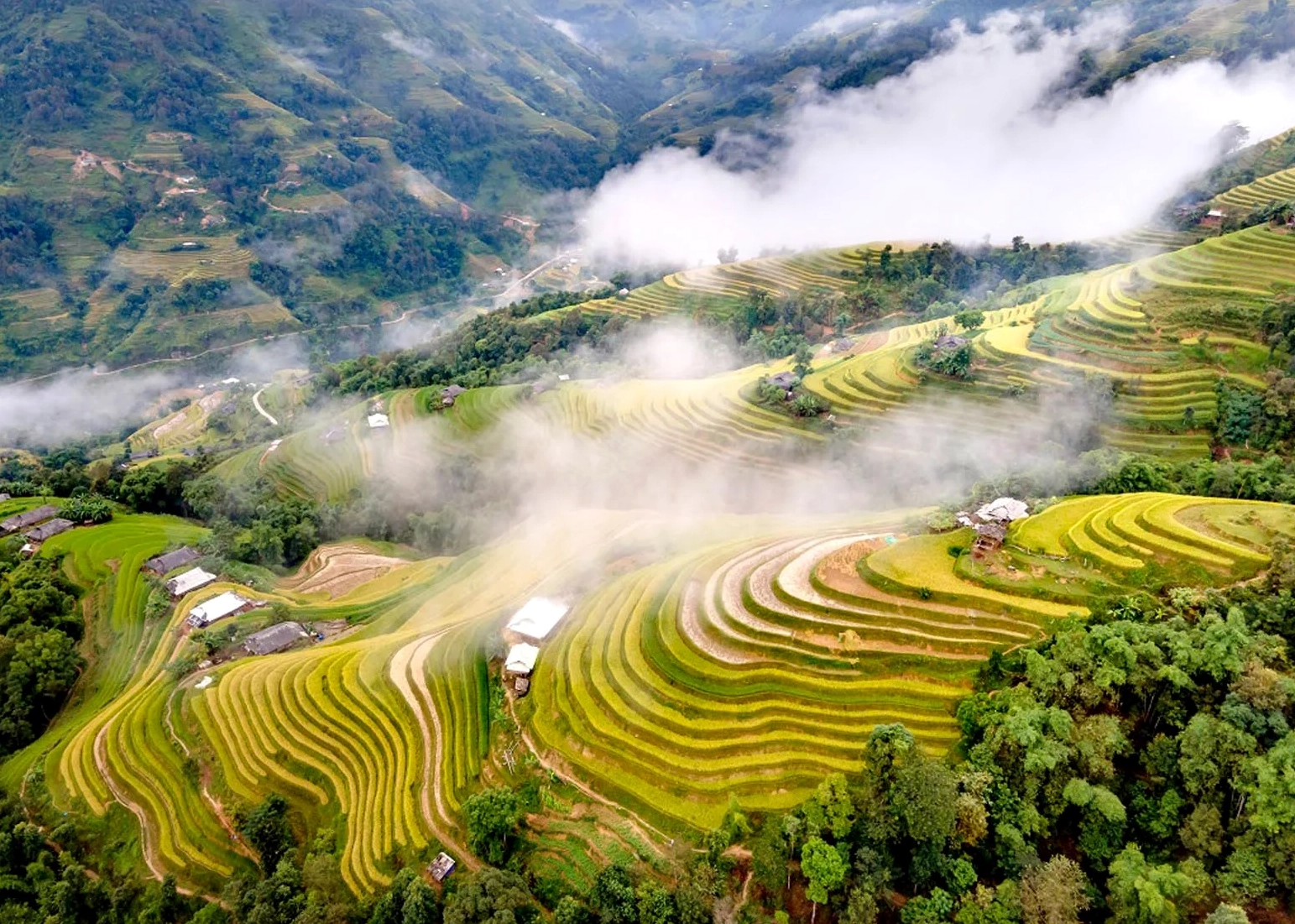 Cảnh đẹp Sapa