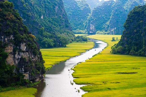 Cánh đồng lúa và sông ở Ninh Tân, Việt Nam