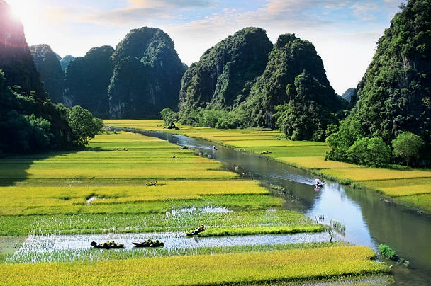 Cánh đồng lúa và sông ở Ninh Tân, Việt Nam