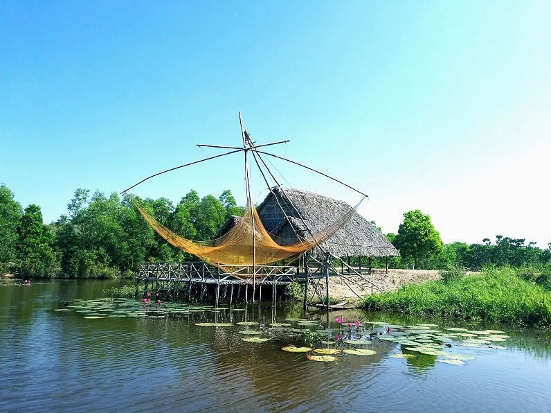 Cánh đồng sen bát ngát tại Đồng Tháp Mười