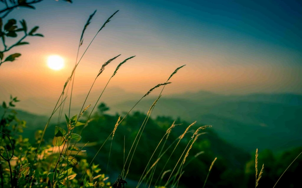 Cảnh thiên nhiên đẹp của biển với làn nước trong xanh và bãi cát trắng