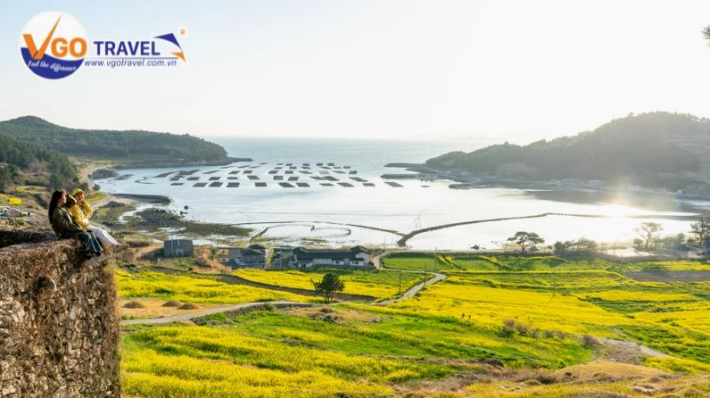 Cheongsando mang đến cảm giác rất riêng trong nhịp sống hiện đại