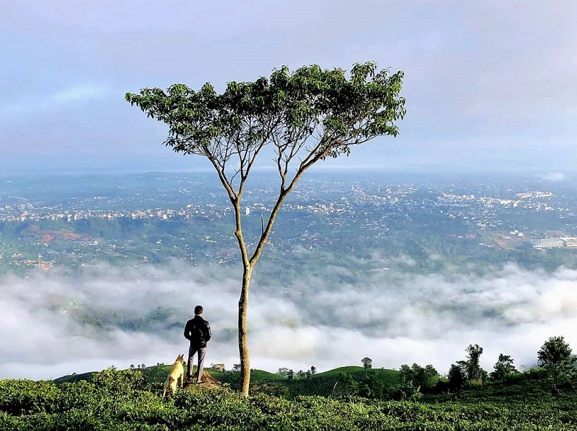 Chinh phục núi Đại Bình hùng vĩ