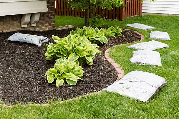 Chuẩn bị phủ vườn vào mùa xuân
