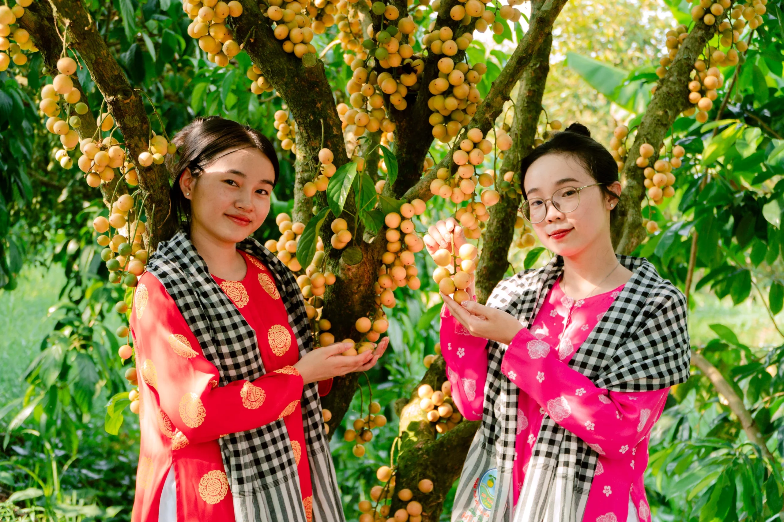 Combo Du Lịch Mỹ Khánh 1 Ngày Chỉ 299K