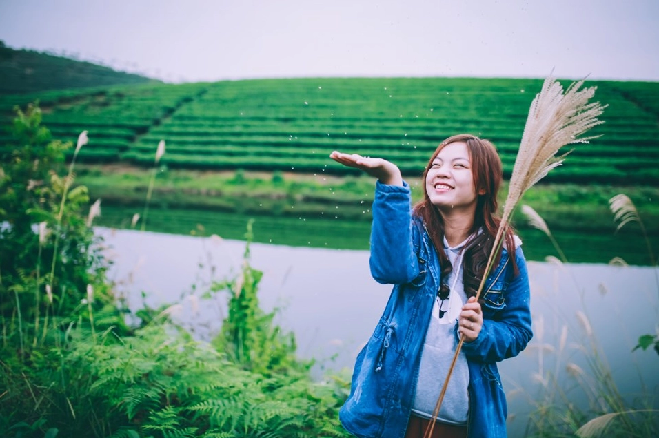 Đồi chè Thanh Chương với khung cảnh xanh mướt.