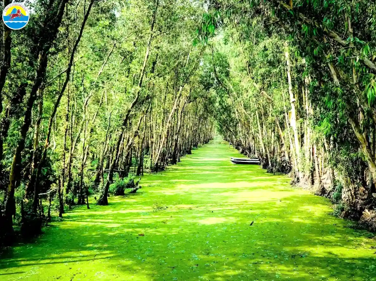 Du lịch An Giang: Cảnh đẹp đồi Tà Pạ