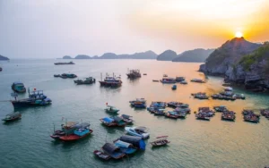 Du lịch Cát Bà 2026: Kinh nghiệm A-Z khám phá đảo Ngọc