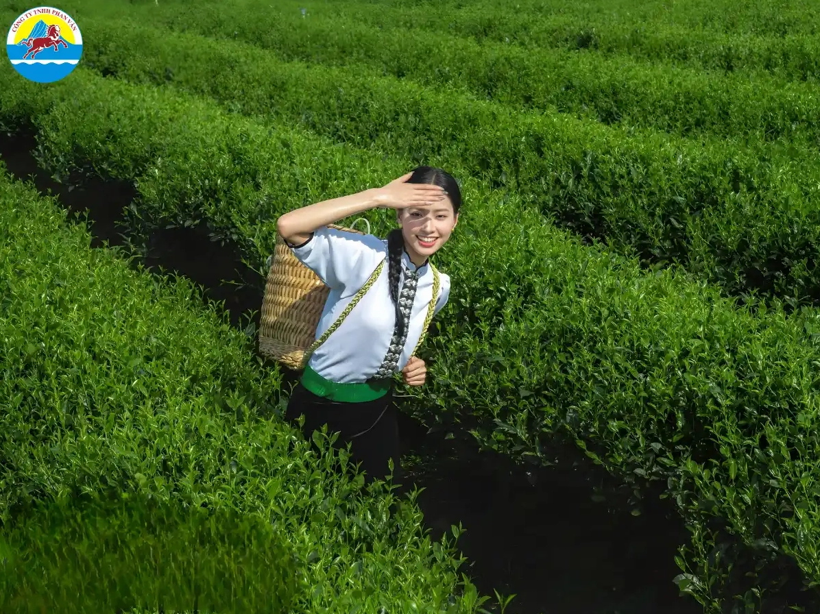 Du lịch Thái Nguyên: Vẻ đẹp thiên nhiên và văn hóa