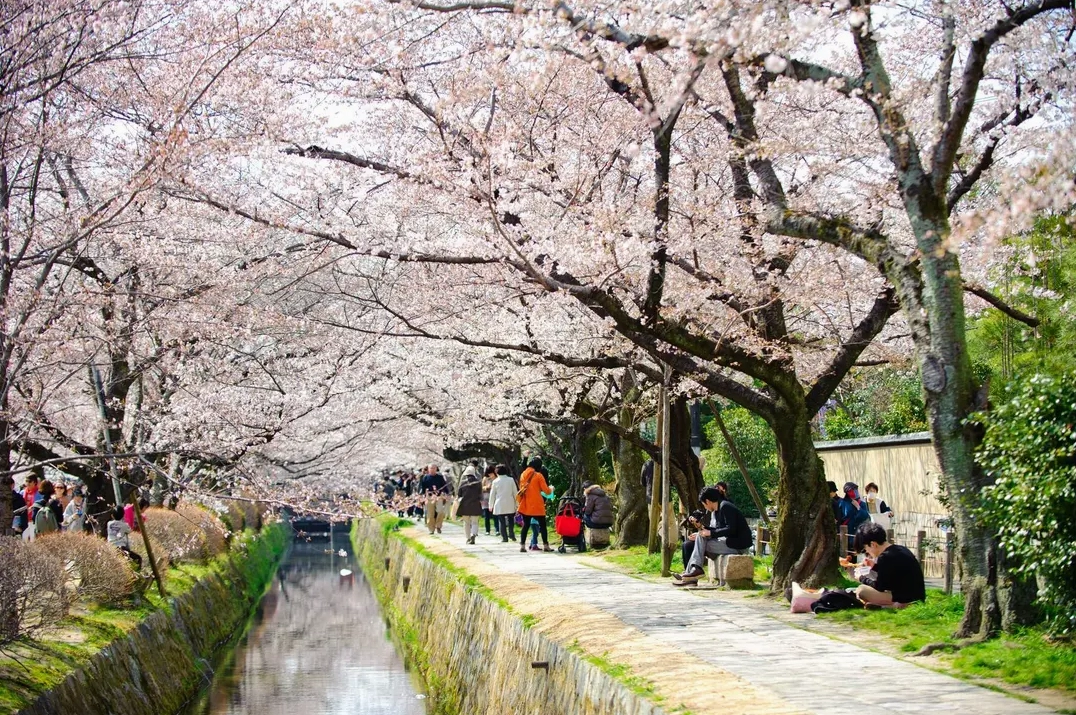 Đường Triết Gia (Tetsugaku-no-michi) thơ mộng ở Kyoto