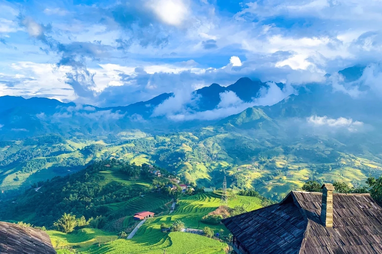 Hoa đào rừng nở rộ vào mùa xuân ở Sapa
