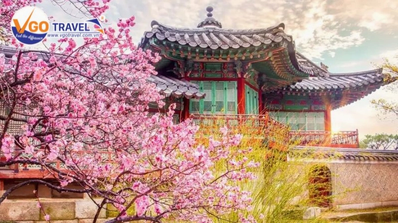 Hoa xuân nở nhẹ giữa không gian cung đình cổ kính