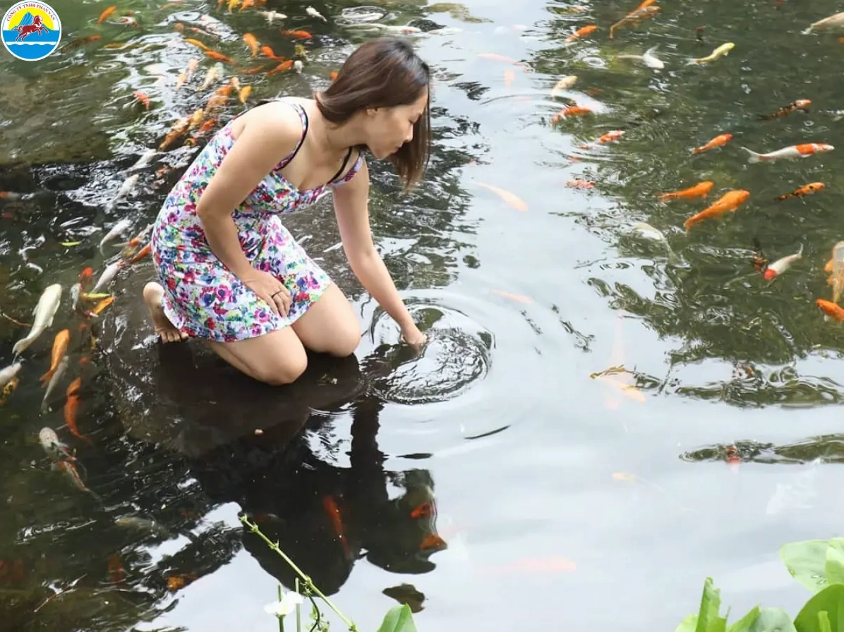 Hoạt động vui chơi tại Suối Mơ