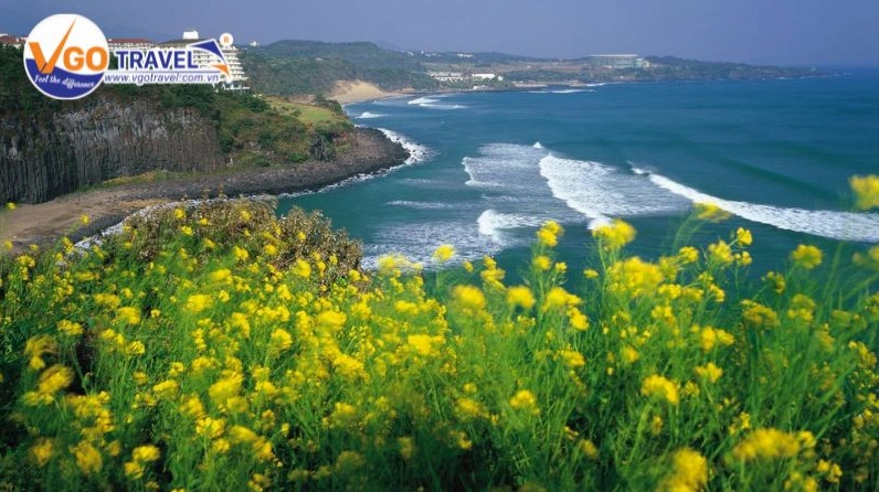 Jeju, điểm đến khiến ai đi rồi cũng muốn quay lại