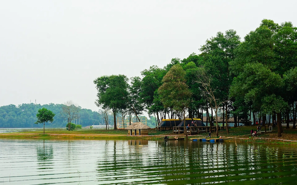 Không gian lý tưởng cho cắm trại và dã ngoại tại Đồng Mô