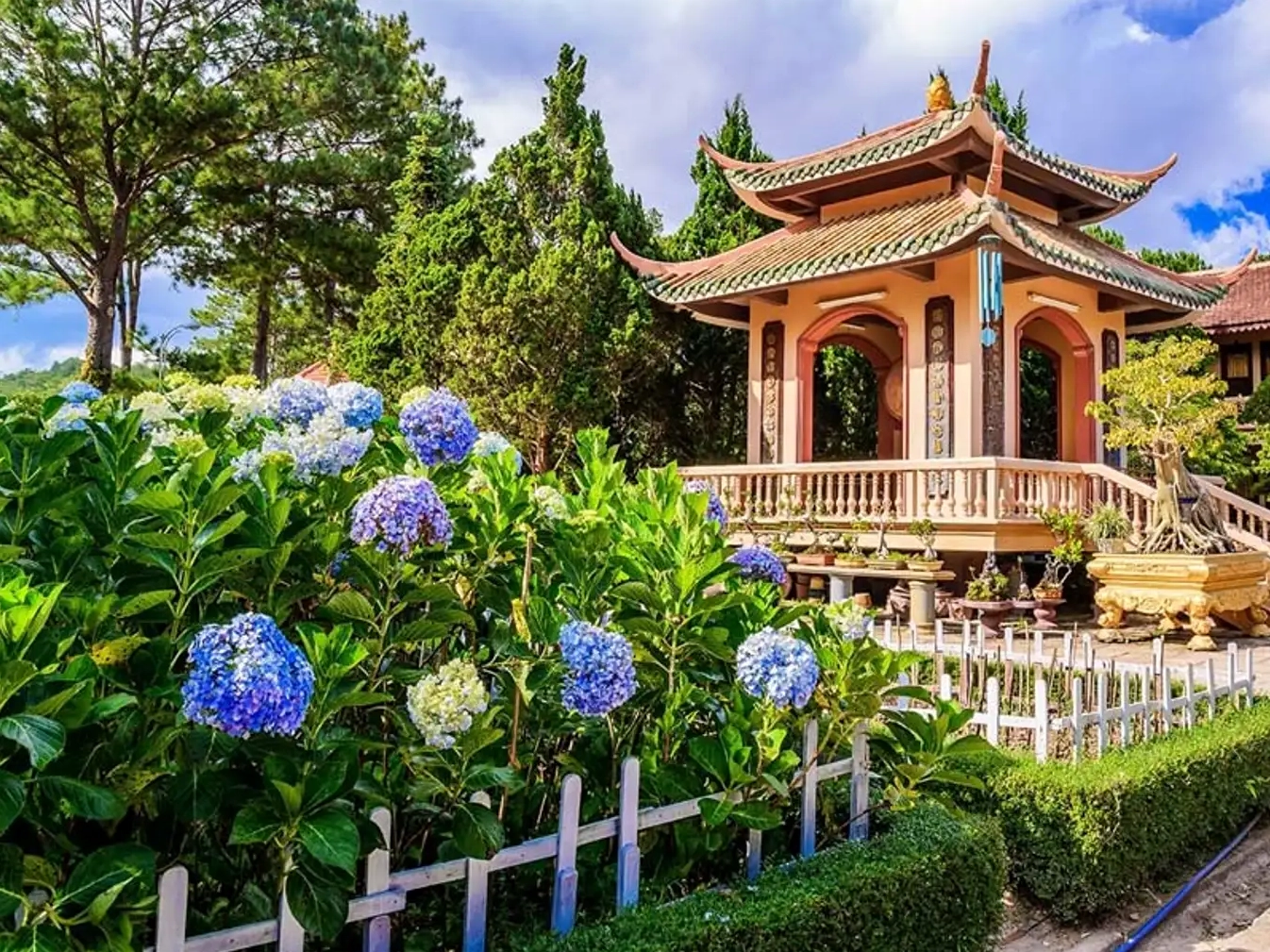 Không gian thanh tịnh tại Thiền Viện Trúc Lâm Đà Lạt