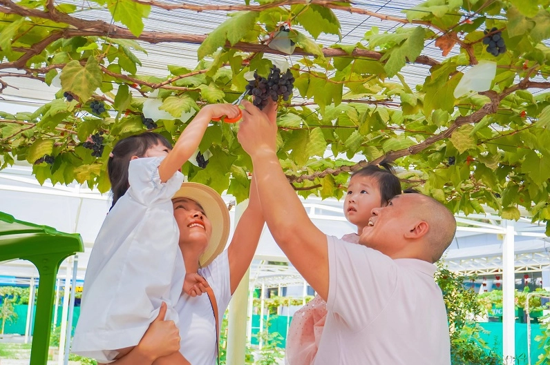 Khu vực Lâu đài Tuyết tại Suối Tiên