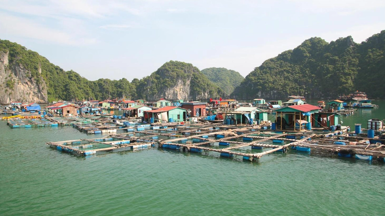 Khung cảnh biển đảo Cát Bà hùng vĩ