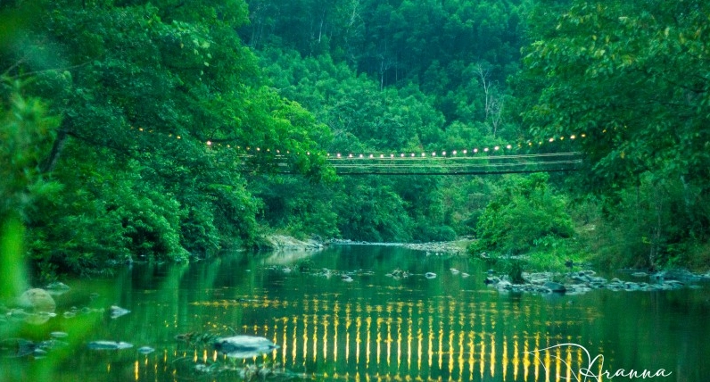 Khung cảnh Đà Lạt với nhà lồng và đồi thông