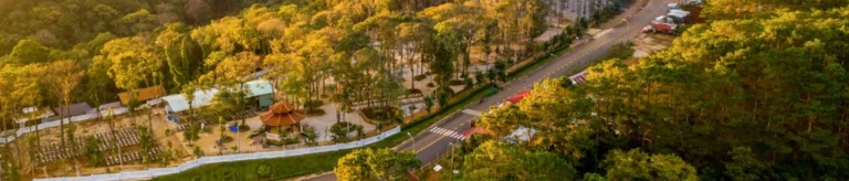 Măng Đen 2026: Cẩm nang du lịch ‘Đà Lạt thu nhỏ’ hút hồn