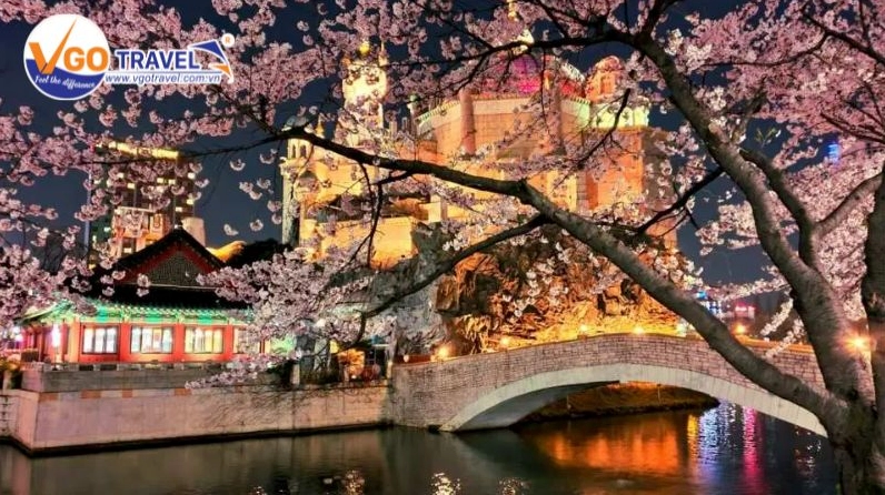 Một cảnh đẹp Hàn Quốc mùa xuân cho những ai yêu chiều sâu văn hóa