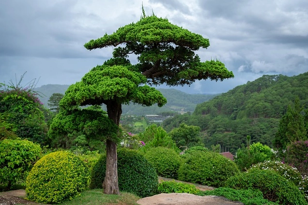 Một góc bãi biển hoang sơ trên đảo Côn Đảo