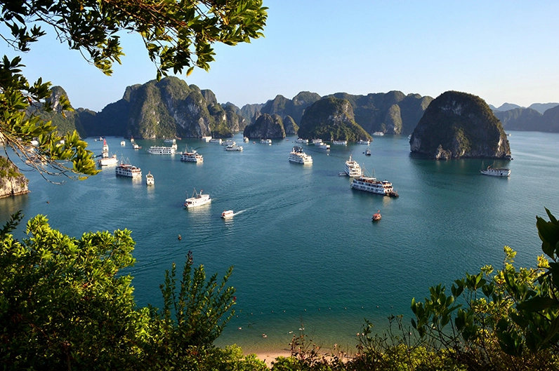 Một góc nhìn toàn cảnh Vịnh Hạ Long hùng vĩ