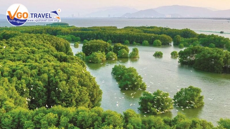 Ngồi thuyền dạo Cồn Chim, ngắm sông nước và thiên nhiên hoang sơ