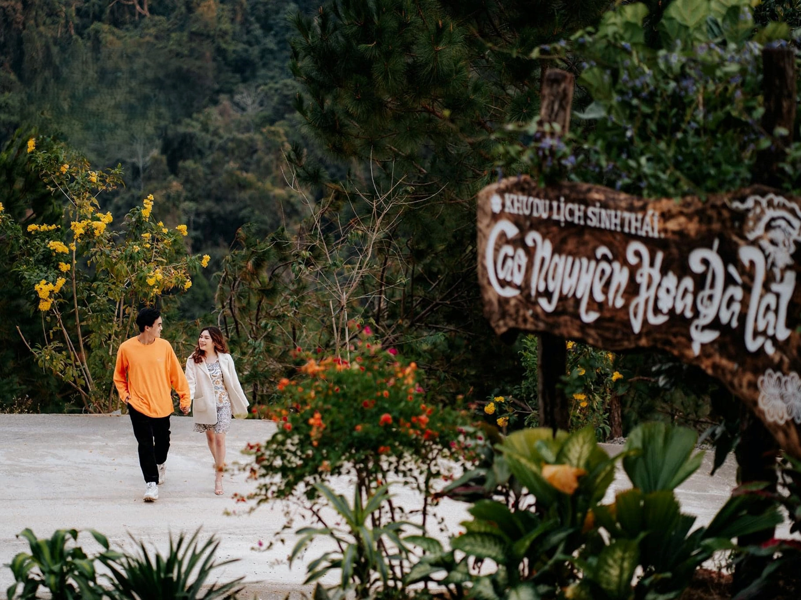 Phố cổ Hội An về đêm