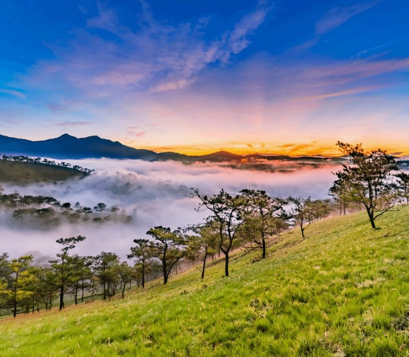 Phong cảnh nên thơ của Đà Lạt