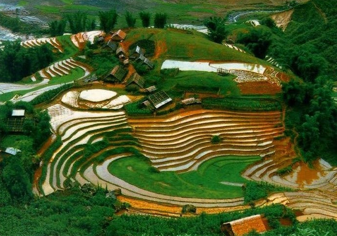 Ruộng bậc thang Sa Pa tuyệt đẹp