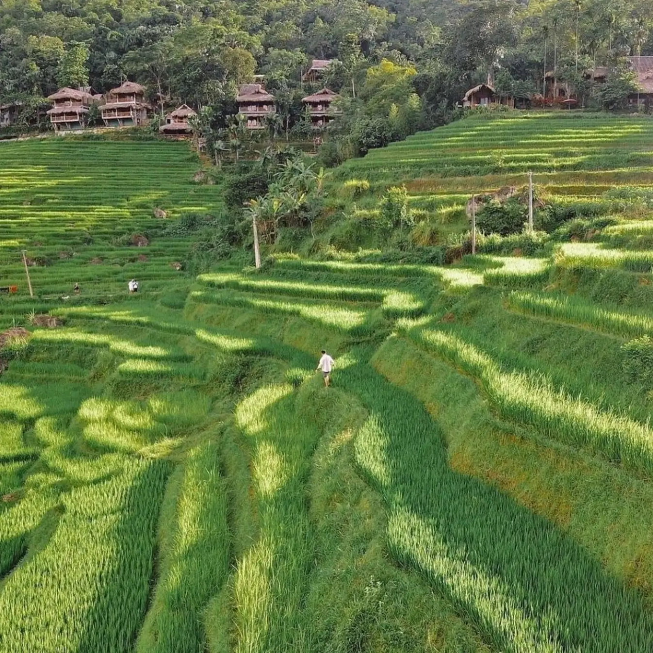 Ruộng bậc thang Sa Pa