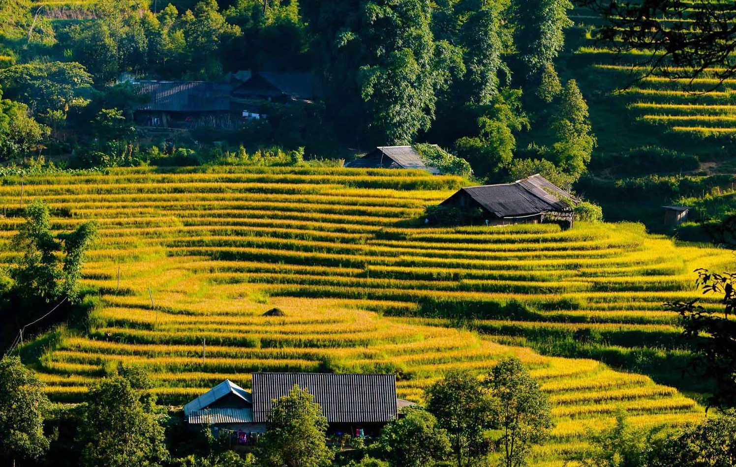 Ruộng bậc thang thơ mộng tại thung lũng Mường Hoa