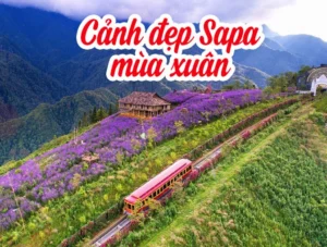 Sapa Mùa Xuân 2026: Bức Tranh Thiên Nhiên Rực Rỡ Khó Cưỡng