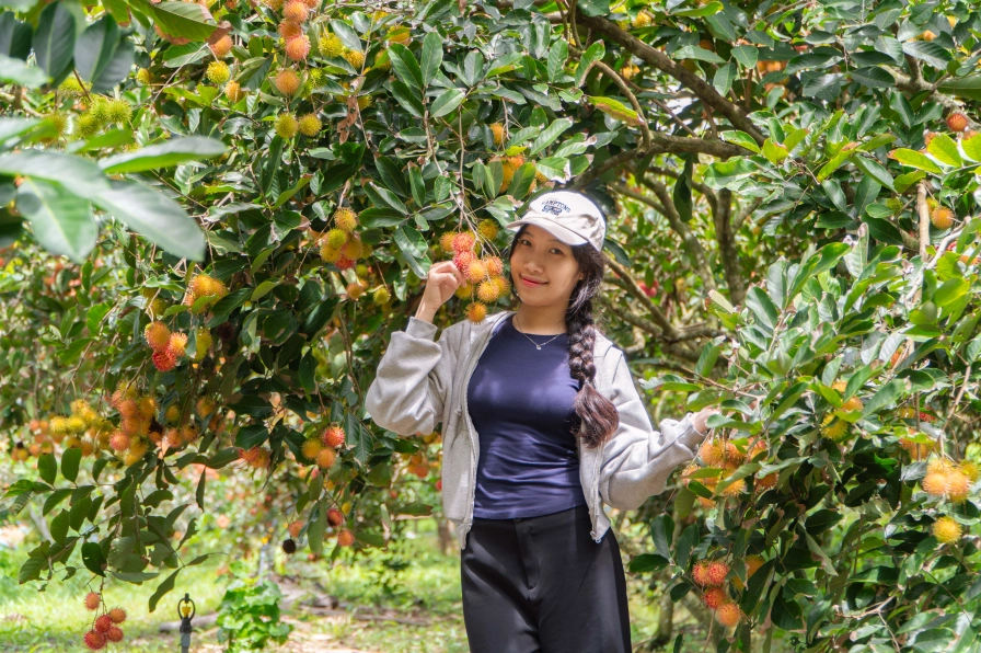 Tham Quan Vườn Trái Cây Theo Mùa Tại Mỹ Khánh
